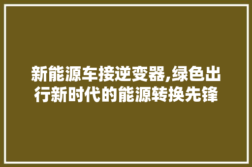 新能源车接逆变器,绿色出行新时代的能源转换先锋