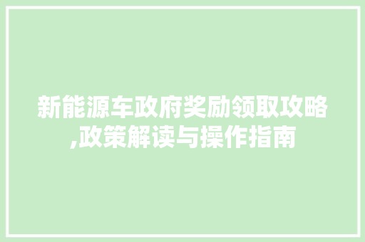 新能源车政府奖励领取攻略,政策解读与操作指南