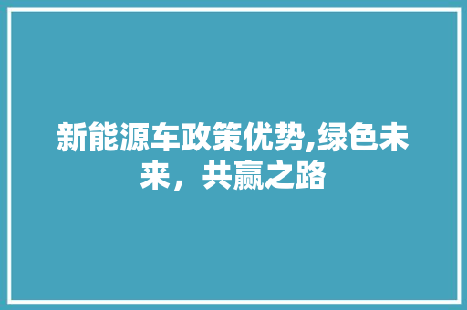 新能源车政策优势,绿色未来，共赢之路