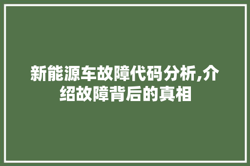 新能源车故障代码分析,介绍故障背后的真相