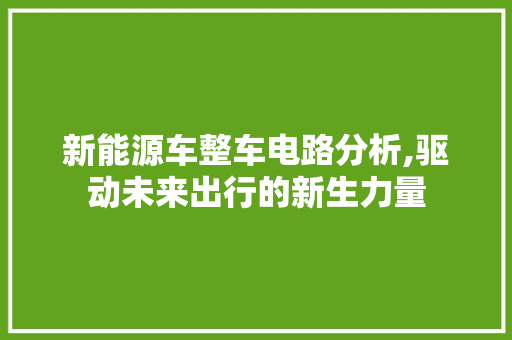 新能源车整车电路分析,驱动未来出行的新生力量