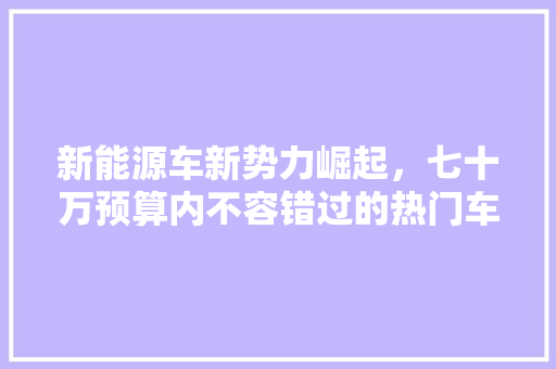 新能源车新势力崛起，七十万预算内不容错过的热门车型 汽车配件