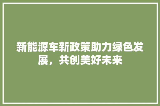 新能源车新政策助力绿色发展，共创美好未来