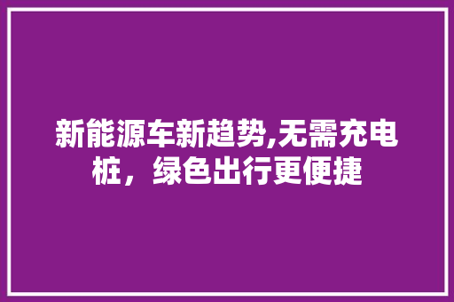 新能源车新趋势,无需充电桩，绿色出行更便捷 新款车型