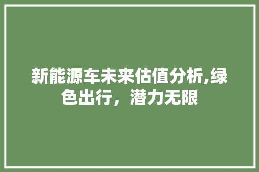 新能源车未来估值分析,绿色出行，潜力无限 新能源汽车