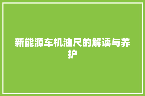 新能源车机油尺的解读与养护