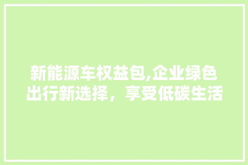 新能源车权益包,企业绿色出行新选择，享受低碳生活新福利