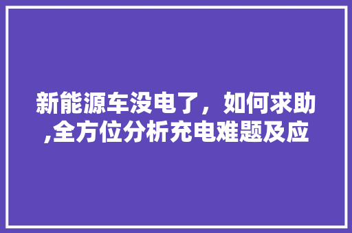 新能源车没电了，如何求助,全方位分析充电难题及应对步骤