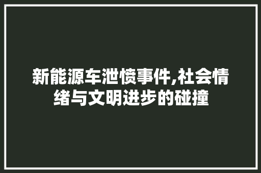 新能源车泄愤事件,社会情绪与文明进步的碰撞 底盘配件