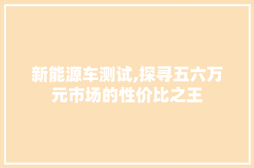 新能源车测试,探寻五六万元市场的性价比之王