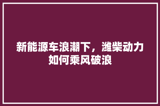 新能源车浪潮下，潍柴动力如何乘风破浪 新款车型