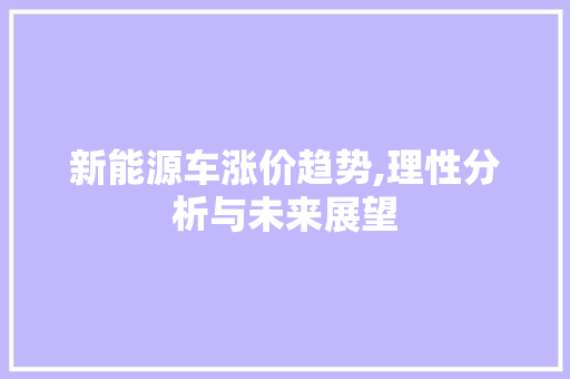 新能源车涨价趋势,理性分析与未来展望