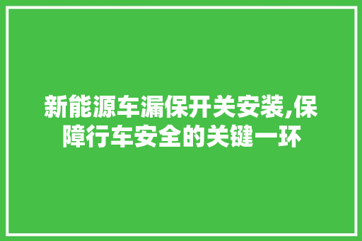 新能源车漏保开关安装,保障行车安全的关键一环