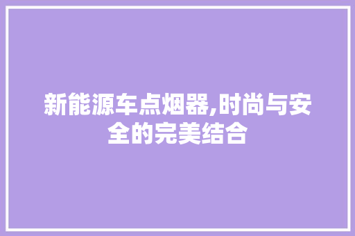 新能源车点烟器,时尚与安全的完美结合