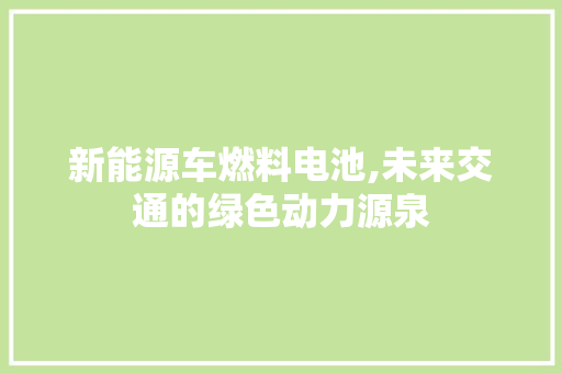 新能源车燃料电池,未来交通的绿色动力源泉