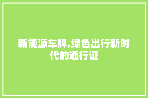 新能源车牌,绿色出行新时代的通行证