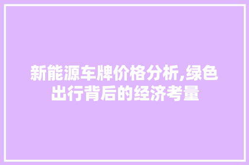 新能源车牌价格分析,绿色出行背后的经济考量