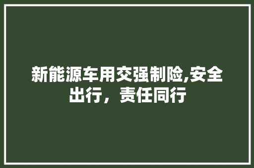 新能源车用交强制险,安全出行，责任同行