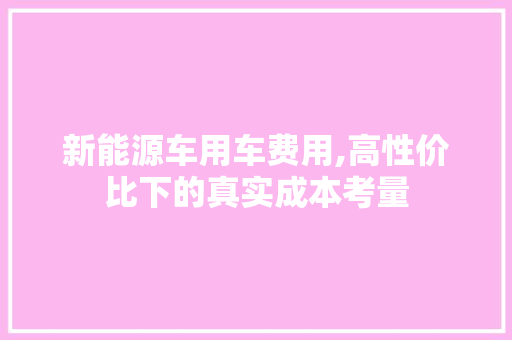 新能源车用车费用,高性价比下的真实成本考量