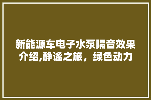 新能源车电子水泵隔音效果介绍,静谧之旅，绿色动力