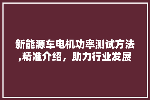 新能源车电机功率测试方法,精准介绍，助力行业发展