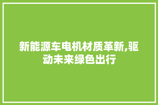 新能源车电机材质革新,驱动未来绿色出行