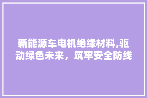 新能源车电机绝缘材料,驱动绿色未来，筑牢安全防线 新能源汽车