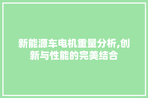 新能源车电机重量分析,创新与性能的完美结合