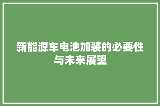 新能源车电池加装的必要性与未来展望 新款车型