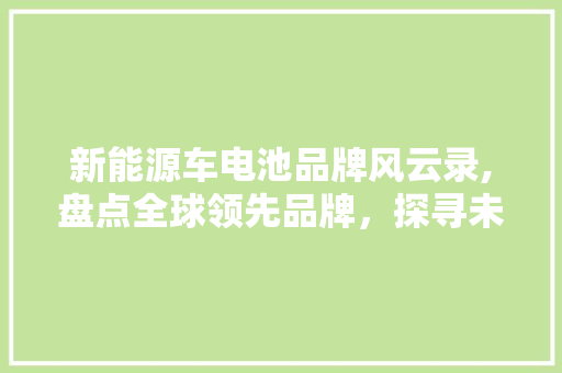新能源车电池品牌风云录,盘点全球领先品牌，探寻未来发展趋势