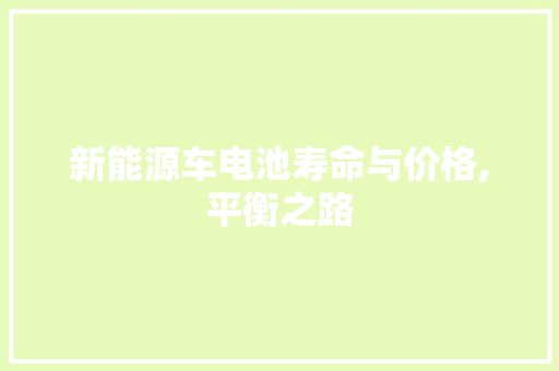 新能源车电池寿命与价格,平衡之路