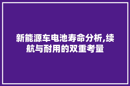 新能源车电池寿命分析,续航与耐用的双重考量