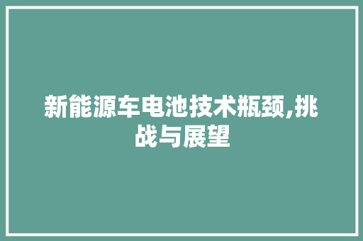 新能源车电池技术瓶颈,挑战与展望
