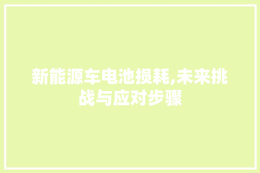 新能源车电池损耗,未来挑战与应对步骤