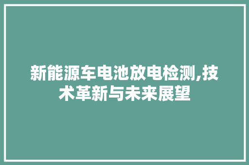 新能源车电池放电检测,技术革新与未来展望