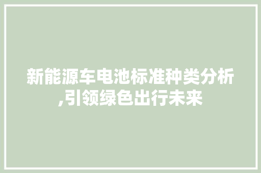 新能源车电池标准种类分析,引领绿色出行未来
