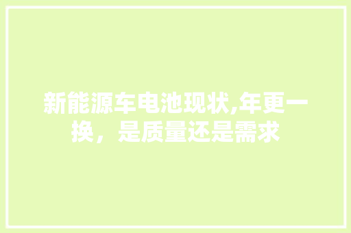 新能源车电池现状,年更一换，是质量还是需求