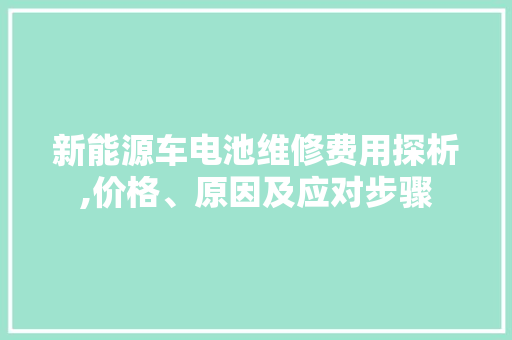 新能源车电池维修费用探析,价格、原因及应对步骤
