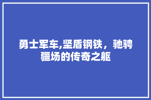勇士军车,坚盾钢铁，驰骋疆场的传奇之躯