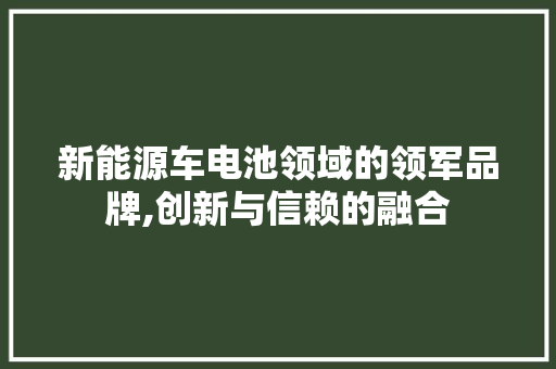 新能源车电池领域的领军品牌,创新与信赖的融合