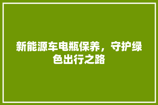 新能源车电瓶保养，守护绿色出行之路