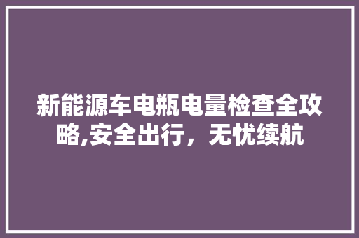 新能源车电瓶电量检查全攻略,安全出行，无忧续航