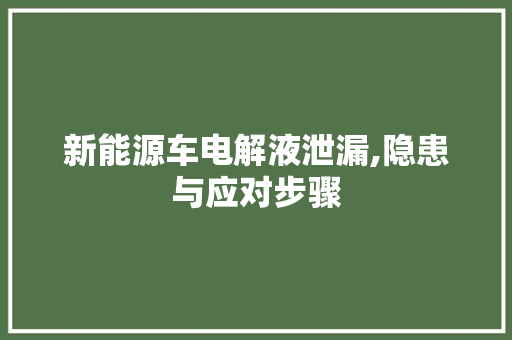新能源车电解液泄漏,隐患与应对步骤 车身配件