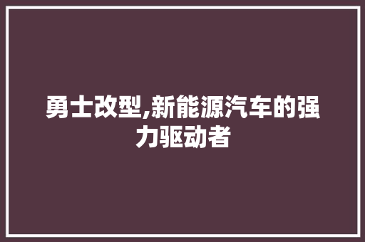勇士改型,新能源汽车的强力驱动者