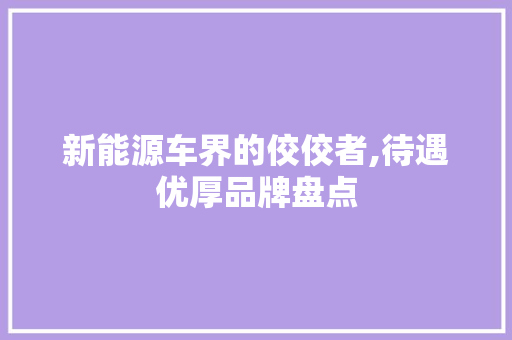 新能源车界的佼佼者,待遇优厚品牌盘点