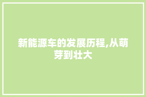 新能源车的发展历程,从萌芽到壮大