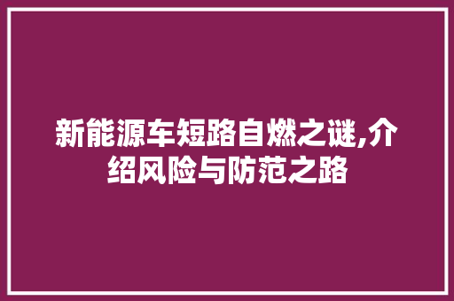 新能源车短路自燃之谜,介绍风险与防范之路