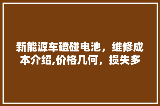 新能源车磕碰电池，维修成本介绍,价格几何，损失多大