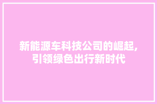 新能源车科技公司的崛起,引领绿色出行新时代