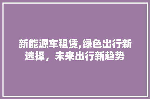 新能源车租赁,绿色出行新选择，未来出行新趋势